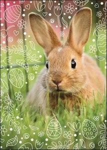 Cartes postales Fêtes de Pâques Animaux et Nature