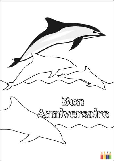 Cartes postales Coloriages Animaux pour enfants : Anniversaire Dauphins - à colorier