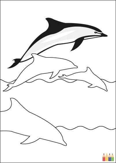 Cartes postales Coloriages Animaux pour enfants : Dauphins - à colorier