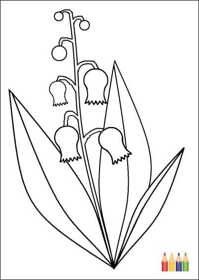 Cartes postales Coloriages Animaux pour enfants : Fleurs Brin de muguet - à colorier