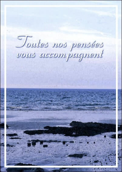 Cartes postales de Condoléances Animaux et Nature : Paysage de bord de mer