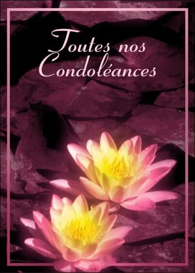 Cartes postales de Condoléances Animaux et Nature : Fleurs de nénuphar
