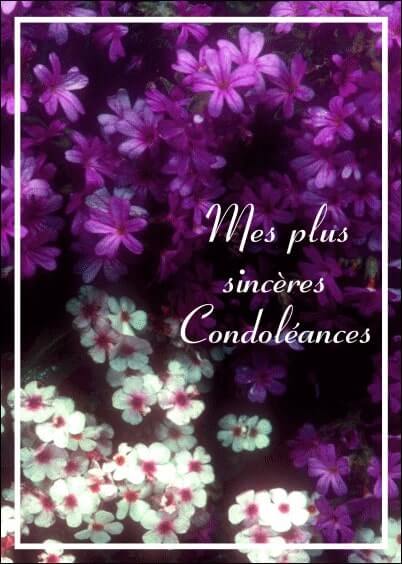 Cartes postales de Condoléances Animaux et Nature : Fleurs
