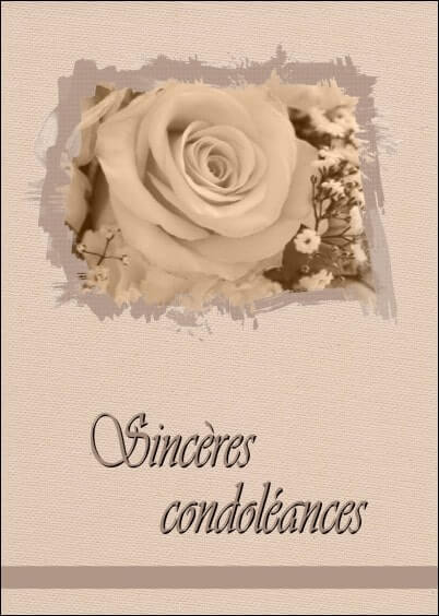 Cartes postales de Condoléances Animaux et Nature : Carte ancienne - Rose