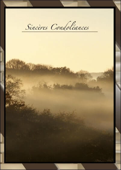 Cartes postales de Condoléances Animaux et Nature : Paysage sous la brume