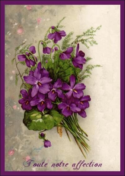 Cartes postales de Condoléances Animaux et Nature : Carte ancienne - Fleurs violettes