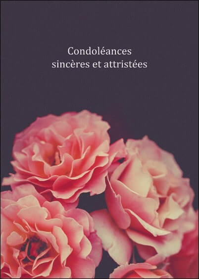 Cartes postales de Condoléances Animaux et Nature : Fleurs roses