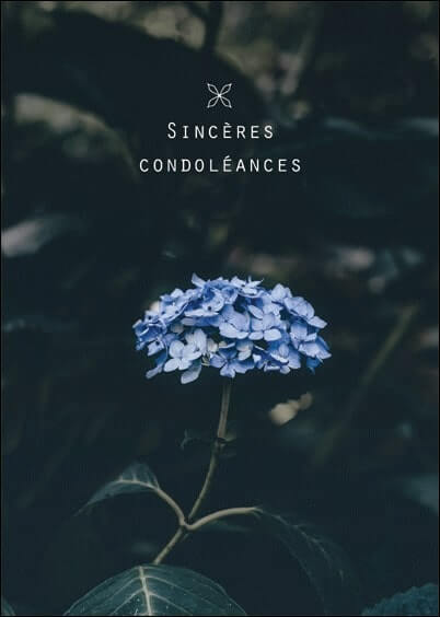 Cartes postales de Condoléances Animaux et Nature : Fleur bleu