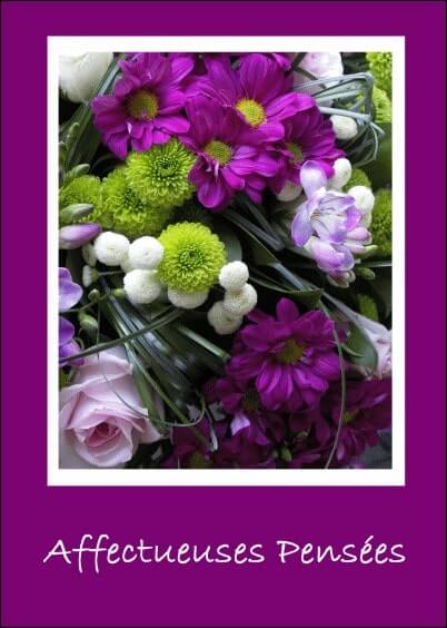 Cartes postales de Condoléances Animaux et Nature : Fleurs - Affectueuses pensées