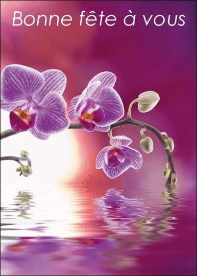 Cartes postales Bonne fête : Orchidée