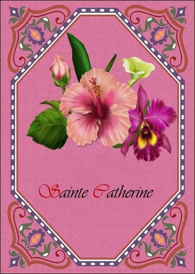 Cartes postales Ste Catherine : Fleurs roses