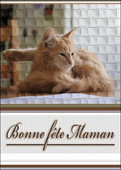 Cartes postales Fête des mères : Chat roux