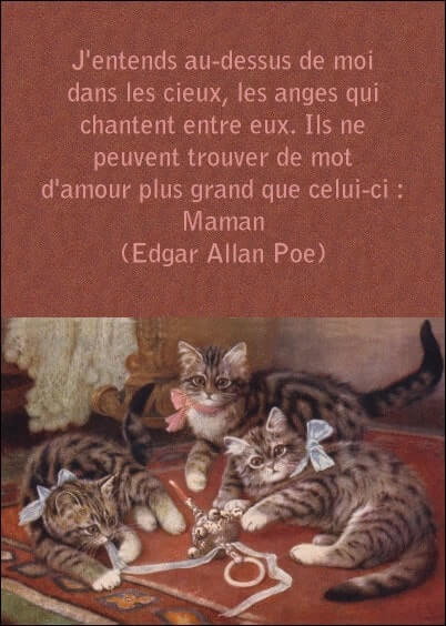 Cartes postales Fête des mères : Carte ancienne Chatons - Citation d'Edgar Allan Poe