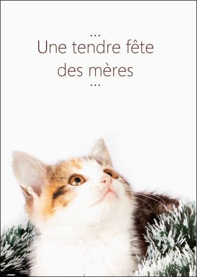 Cartes postales Fête des mères : Tendre chaton