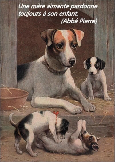 Cartes postales Fête des mères : Carte ancienne Famille chiens - Une mère aimante pardonne toujours