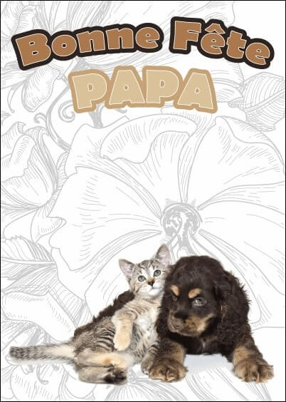 Cartes postales Fête des pères : Chien et chat