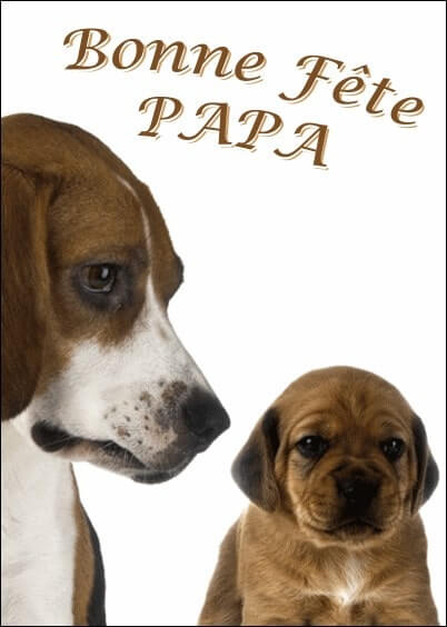 Cartes postales Fête des pères : Deux petits chiens