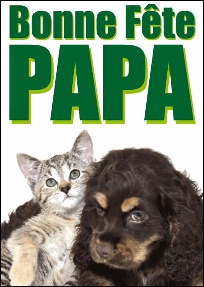 Cartes postales Fête des pères : Chien et chat