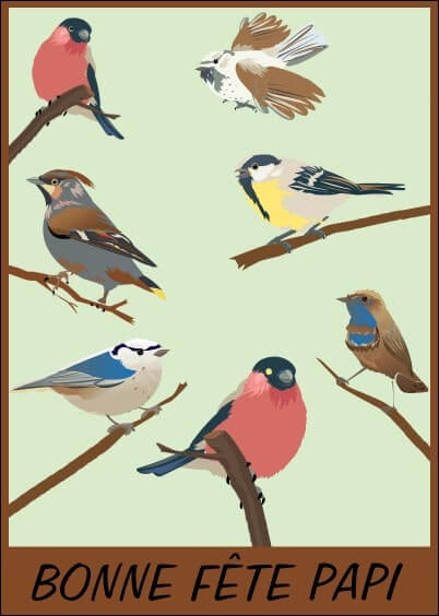 Cartes postales Fête des grand-pères : Pour un papi qui aime les oiseaux