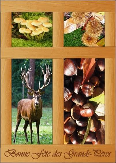 Cartes postales Fête des grand-pères : Grand-pères des bois