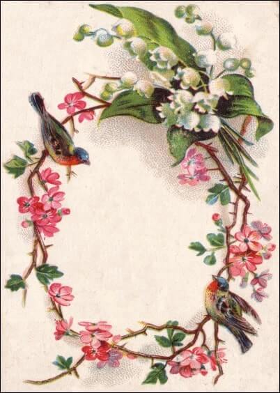 Cartes postales du 1er mai : Carte ancienne - Couronne de muguet, fleurs et oiseaux