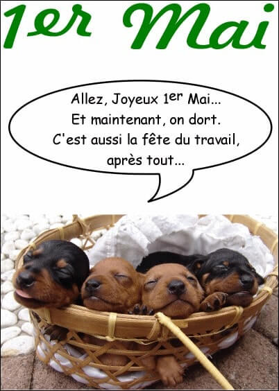 Cartes postales du 1er mai : Chiots du 1er mai