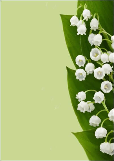 Cartes postales du 1er mai : Brins de muguet - à personnaliser