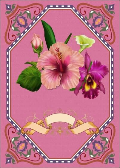 Cartes postales Fleurs et Nature : Fleurs sur un fond rose