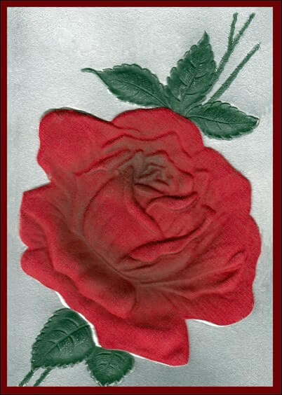 Cartes postales Fleurs et Nature : Belle rose rouge