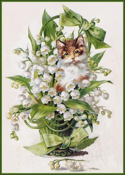 Cartes postales du 1er mai : Carte ancienne - Muguet et petit chat