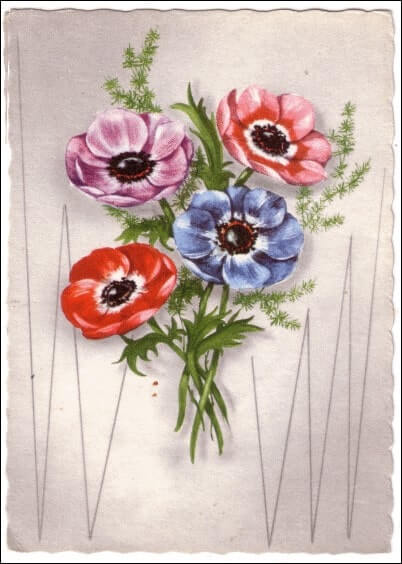 Cartes postales Fleurs et Nature : Carte ancienne - Fleurs