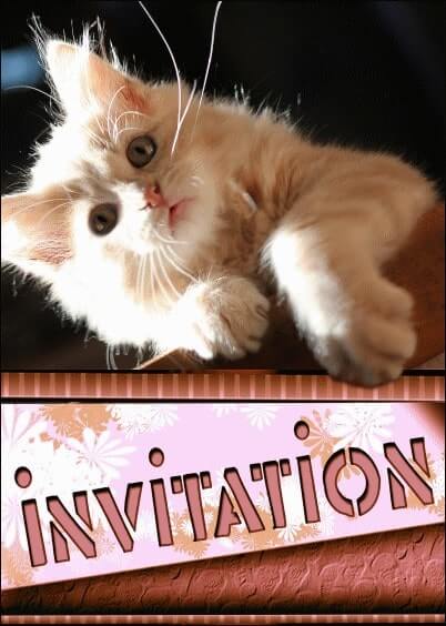 Cartes postales Humour : Invitation avec un petit chat roux