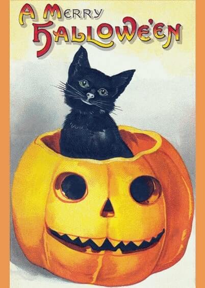 Cartes postales d'Halloween : Merry Halloween avec un chaton noir