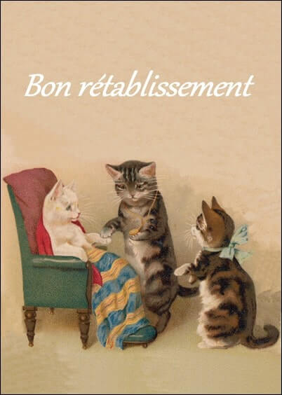 Cartes postales Bon rétablissement : Carte ancienne Petits chats - Bon rétablissement