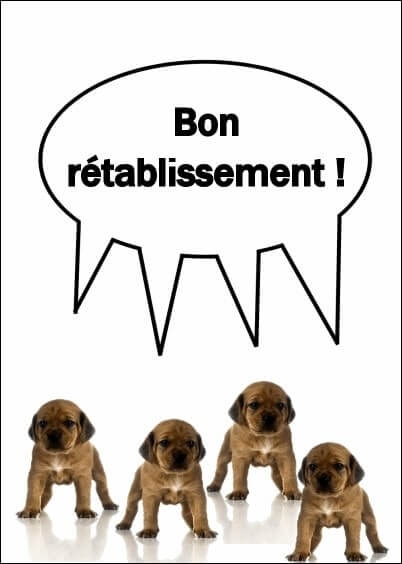 Cartes postales Bon rétablissement : Petit chien - Bon rétablissement
