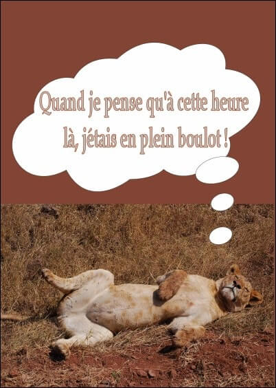 Cartes postales Bonne retraite : Lionne à la retraite