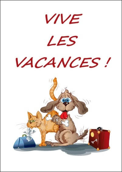 Cartes postales Vacances : Chien et chat - Vive les vacances