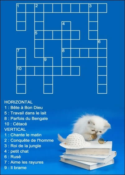 Cartes postales Jeux : Mots croisés - Chat