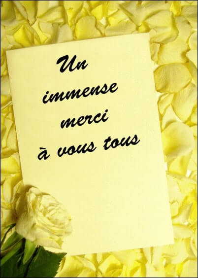 Cartes postales Mariage : Merci - Roses jaunes