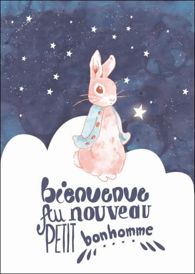 Cartes postales Naissance : Bienvenue au nouveau petit bonhomme