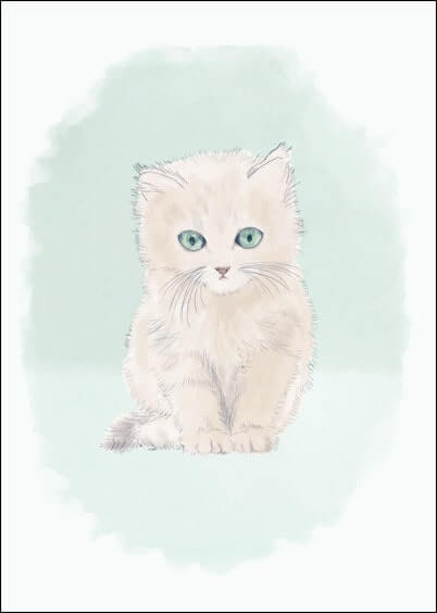 Cartes postales Naissance : Petit chaton bleu