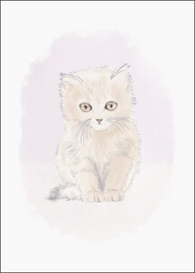 Cartes postales Naissance : Petit chaton rose