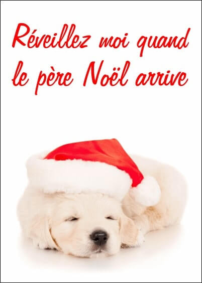 Cartes postales de Noël : Chien - Réveillez-moi quand le Père Noël arrive