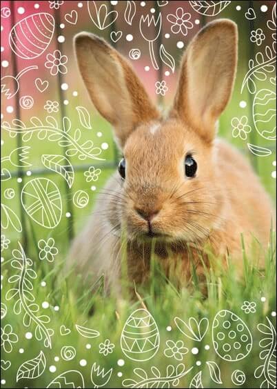 Cartes postales de Pâques : Photo du lapin de Pâques