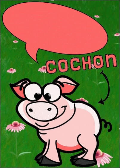 Cartes postales personnalisables Animaux à bulles : Animaux'bulles - Cochon qui bavarde