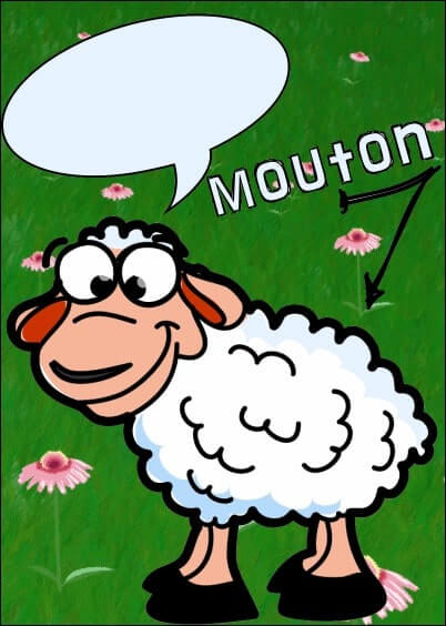 Cartes postales personnalisables Animaux à bulles : Animaux'bulles - Mouton qui bavarde