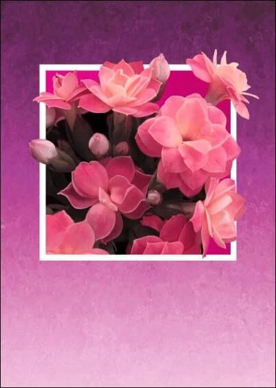 Cartes postales personnalisables Animaux et Nature : Bouquet de fleurs