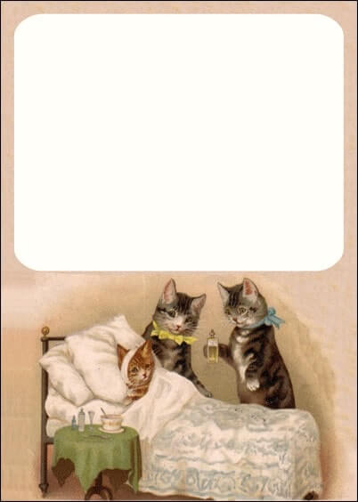 Cartes postales personnalisables Animaux et Nature : Avec des chats