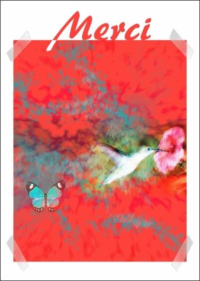 Cartes postales Remerciements : Oiseau et papillon tout en couleurs