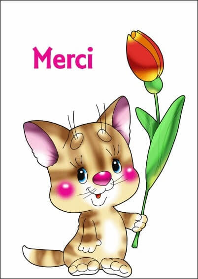 Cartes postales Remerciements : Petit chat - Merci